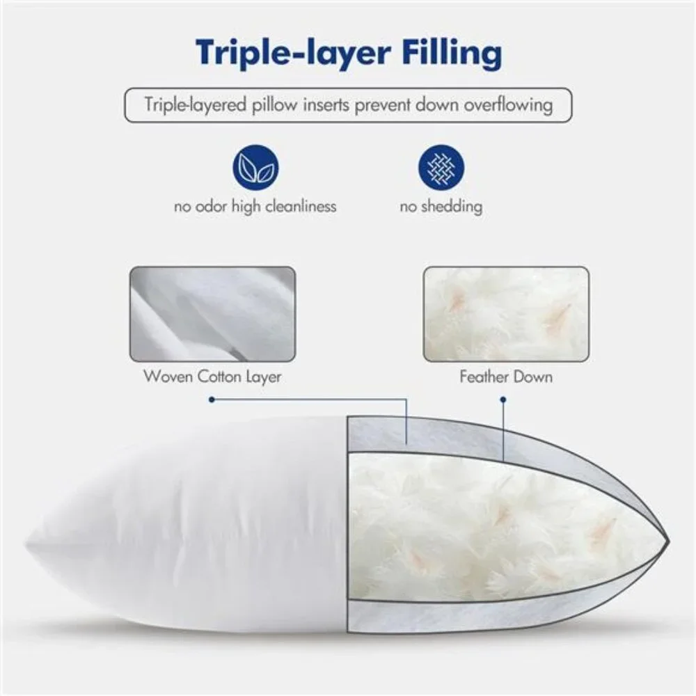 22x22 Pillow Inserts,Set of 2 Down Feather Throw Pillows for Couch Sofa